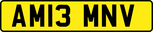 AM13MNV