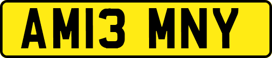 AM13MNY