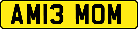 AM13MOM