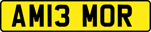AM13MOR