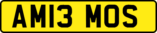 AM13MOS
