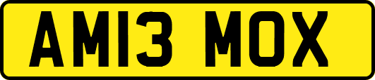AM13MOX