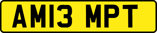 AM13MPT