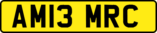 AM13MRC