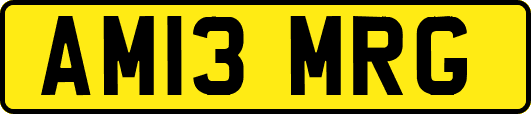 AM13MRG