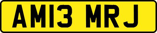 AM13MRJ
