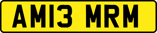 AM13MRM
