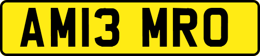 AM13MRO