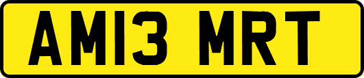 AM13MRT