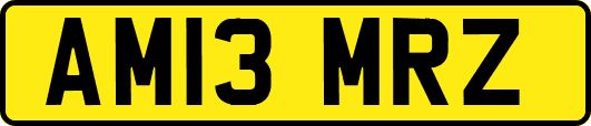 AM13MRZ