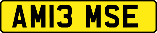 AM13MSE