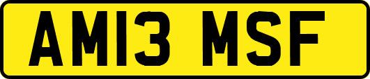 AM13MSF