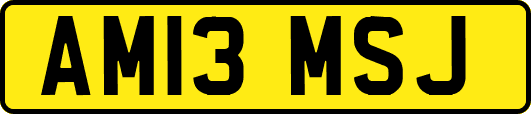 AM13MSJ