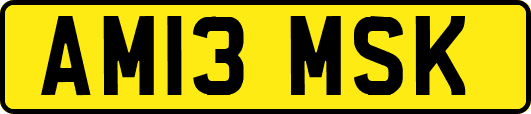 AM13MSK