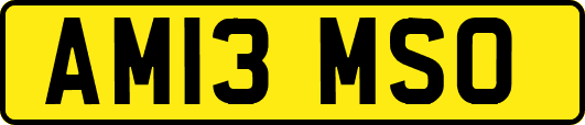 AM13MSO