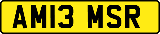 AM13MSR