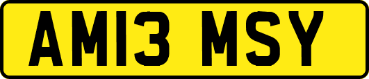 AM13MSY