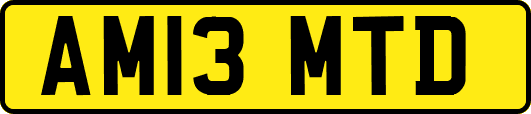 AM13MTD