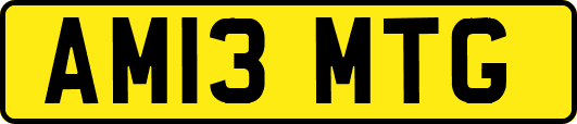 AM13MTG