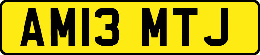 AM13MTJ