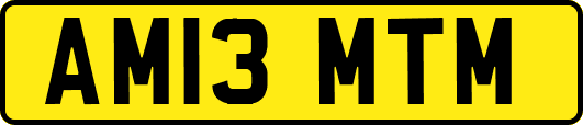 AM13MTM