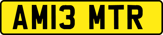 AM13MTR