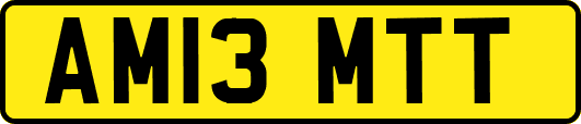AM13MTT