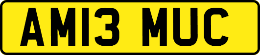 AM13MUC