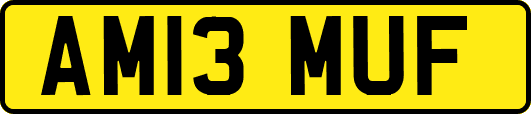 AM13MUF