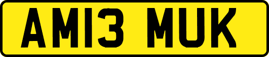 AM13MUK