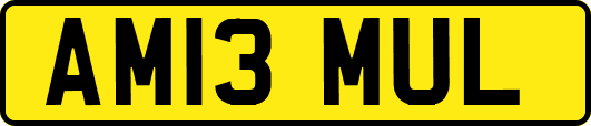 AM13MUL