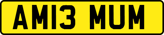AM13MUM