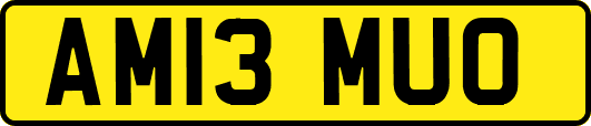 AM13MUO