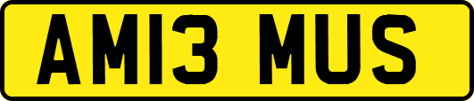 AM13MUS