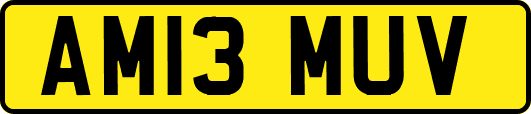 AM13MUV