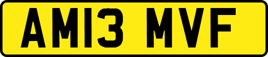 AM13MVF