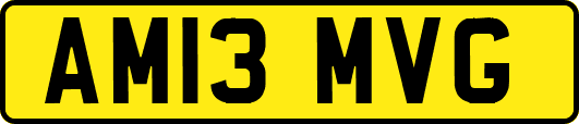 AM13MVG