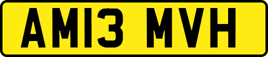 AM13MVH