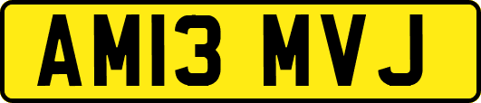 AM13MVJ