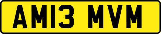 AM13MVM