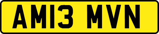 AM13MVN