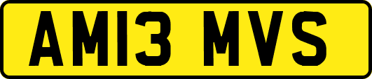 AM13MVS