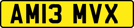 AM13MVX