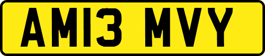 AM13MVY