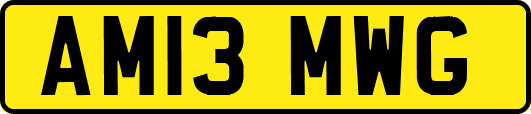 AM13MWG