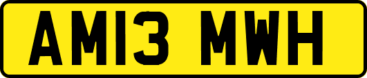 AM13MWH