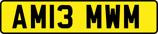 AM13MWM