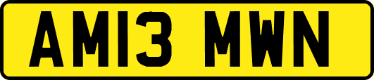 AM13MWN
