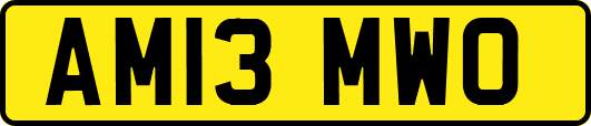AM13MWO