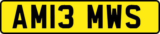 AM13MWS